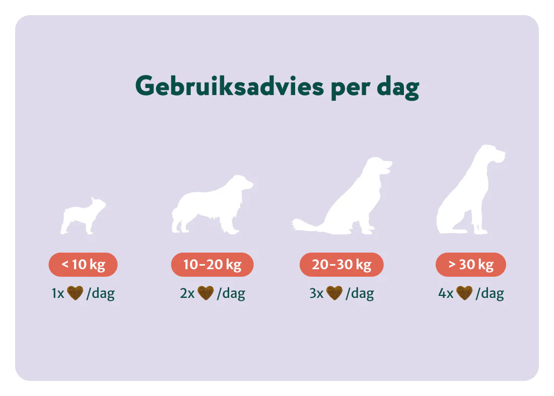 DS Anaalklieren Probiotica Forte | 100% natuurlijk | 60 snoepjes