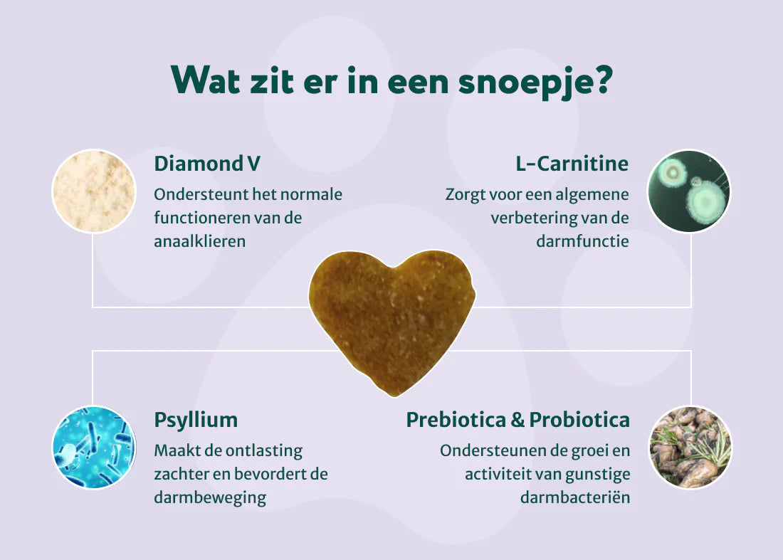 DS Anaalklieren Probiotica Forte | 100% natuurlijk | 60 snoepjes
