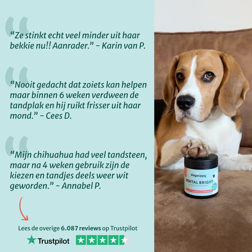 DS Dental Bright | Frisse adem & gezond gebit | 100% natuurlijk | 60 schepjes