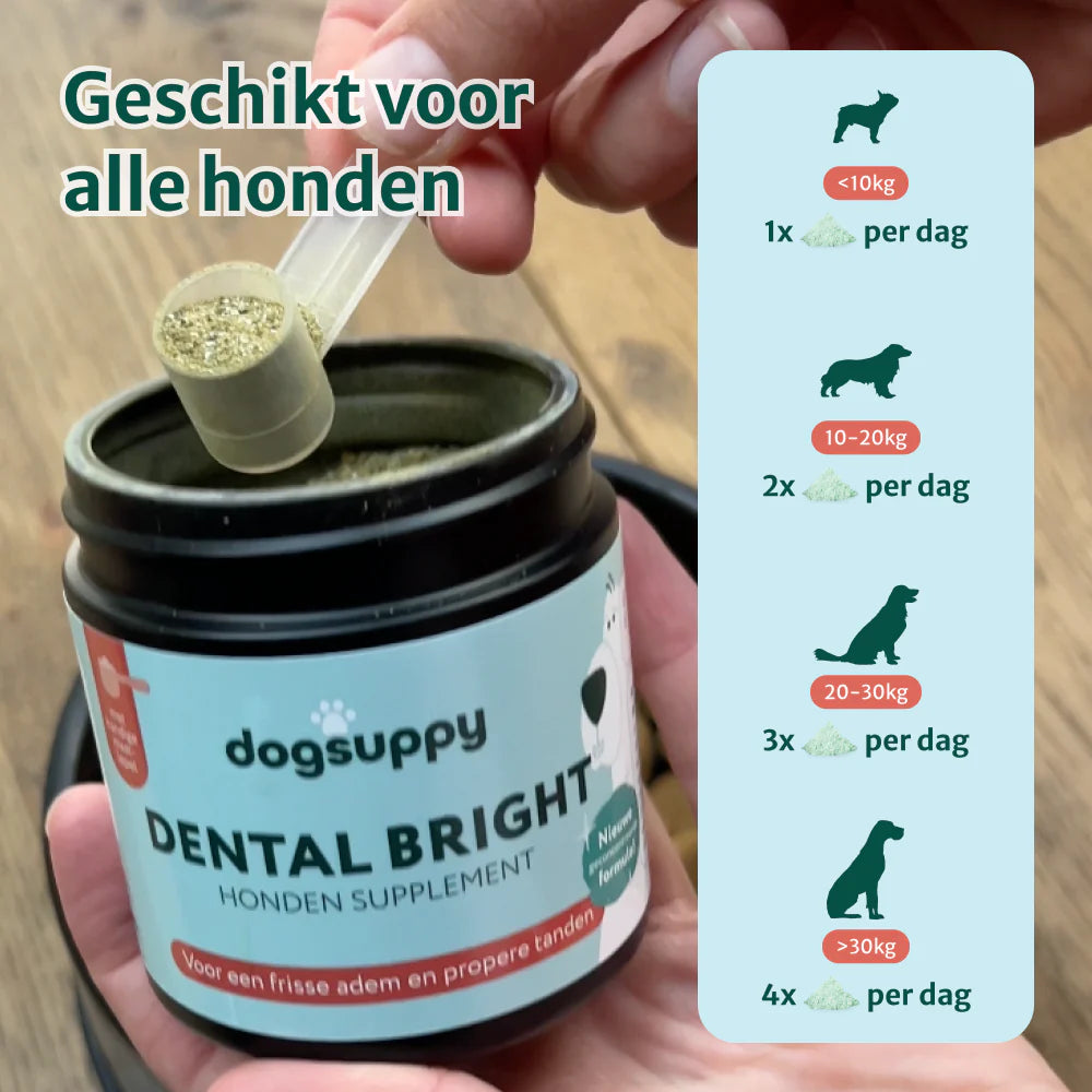 DS Dental Bright | Frisse adem & gezond gebit | 100% natuurlijk | 60 schepjes