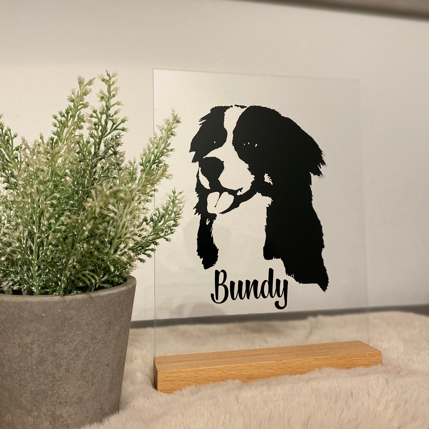 Plexiglas met silhouet van eigen hond