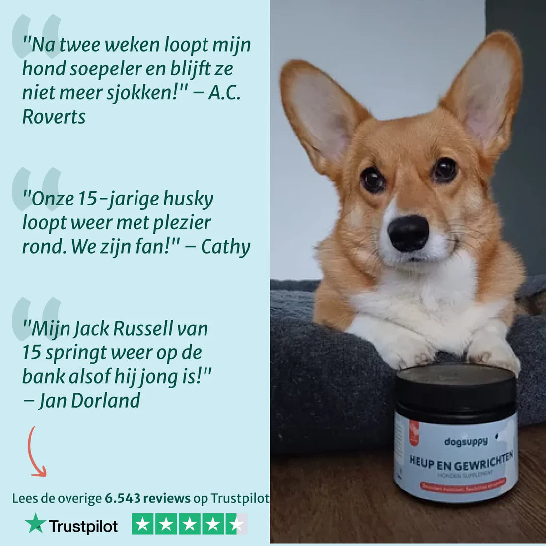 DS Heup & Gewrichten supplement | 100% natuurlijk | 60 snoepjes