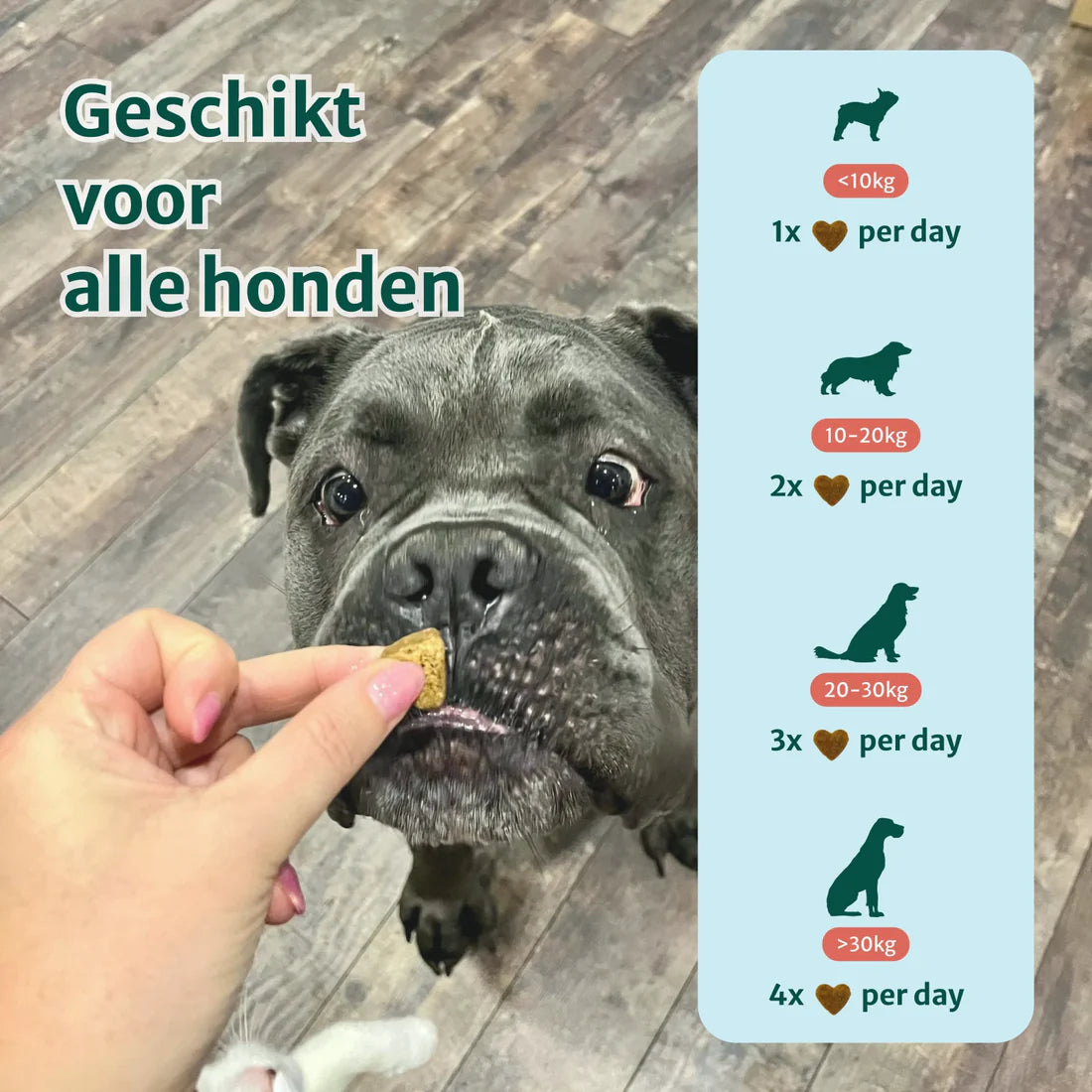 DS Heup & Gewrichten supplement | 100% natuurlijk | 60 snoepjes