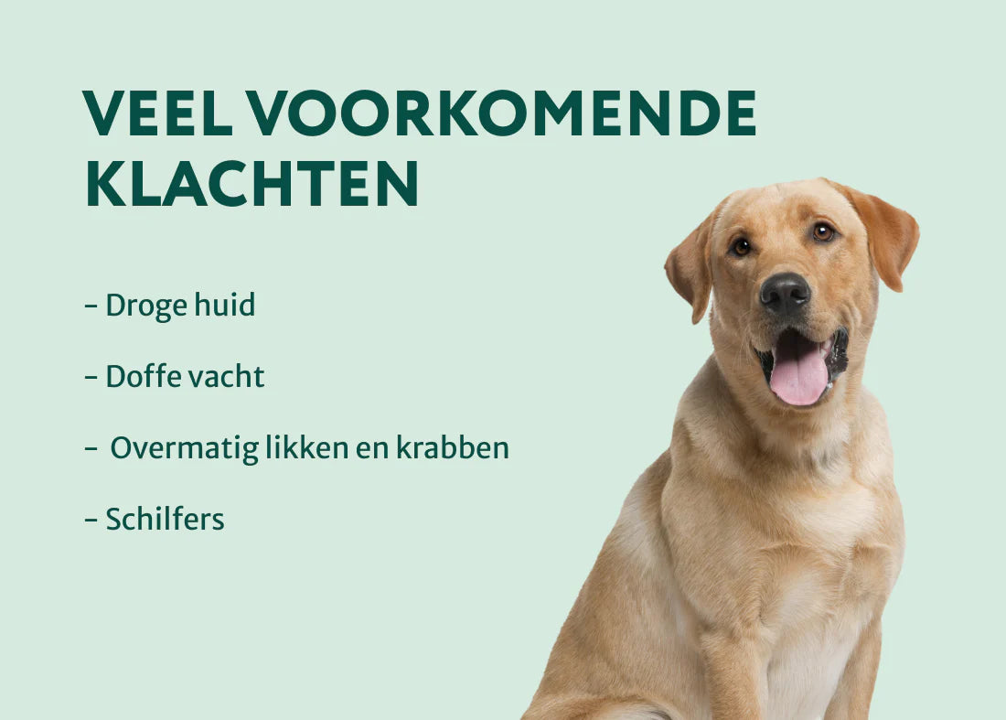 DS Huid & Vacht met Omega 3-6-9 | 100% Natuurlijk | 60 Snoepjes