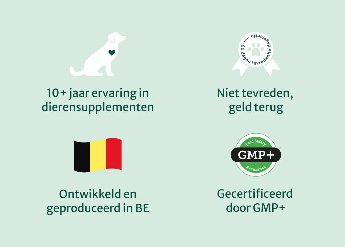 DS Huid & Vacht met Omega 3-6-9 | 100% Natuurlijk | 60 Snoepjes
