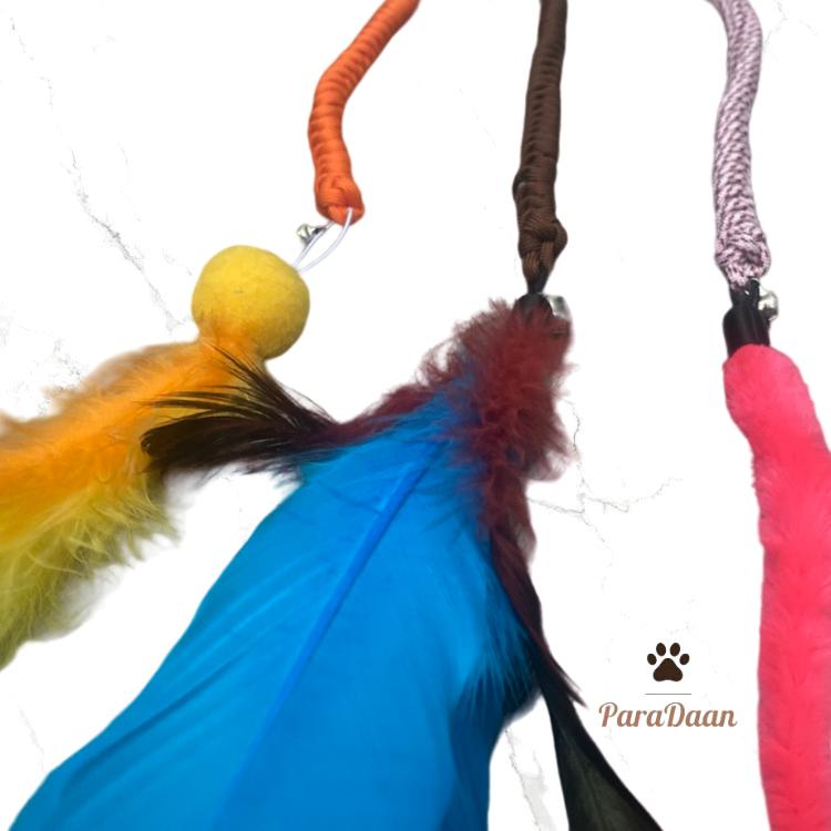 Kattenspeeltje met worm