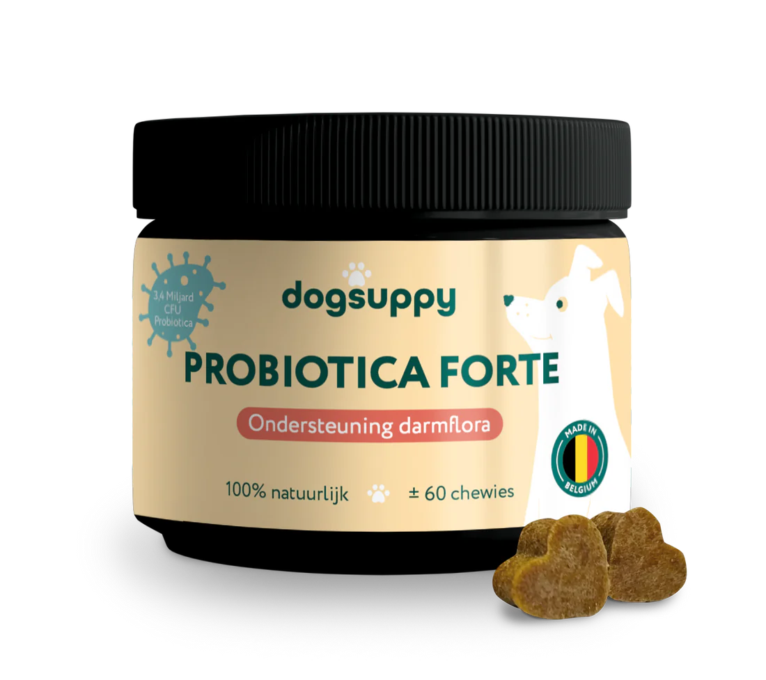 DS Probiotica Forte | Voor een optimale darmgezondheid | 60 snoepjes