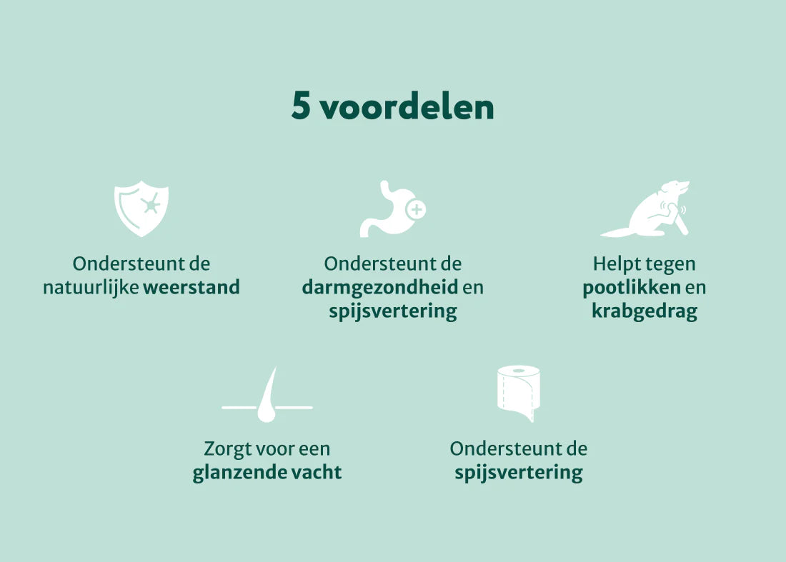 DS Probiotica Forte | Voor een optimale darmgezondheid | 60 snoepjes