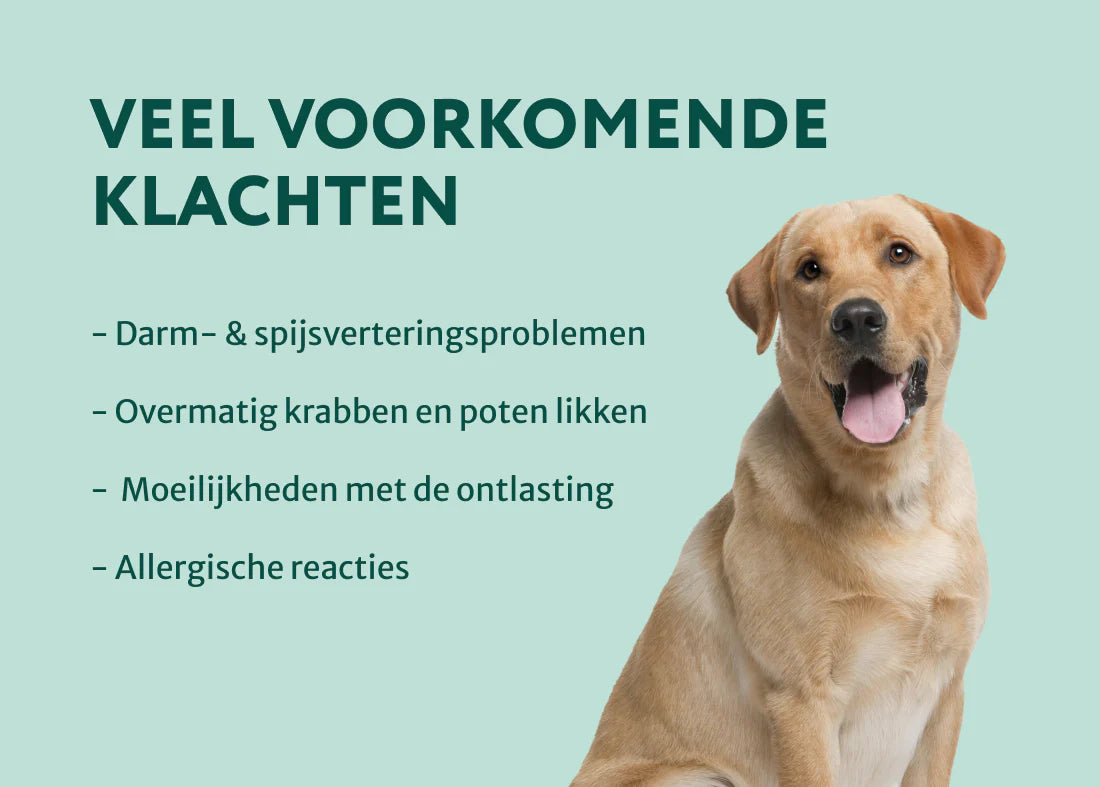 DS Probiotica Forte | Voor een optimale darmgezondheid | 60 snoepjes