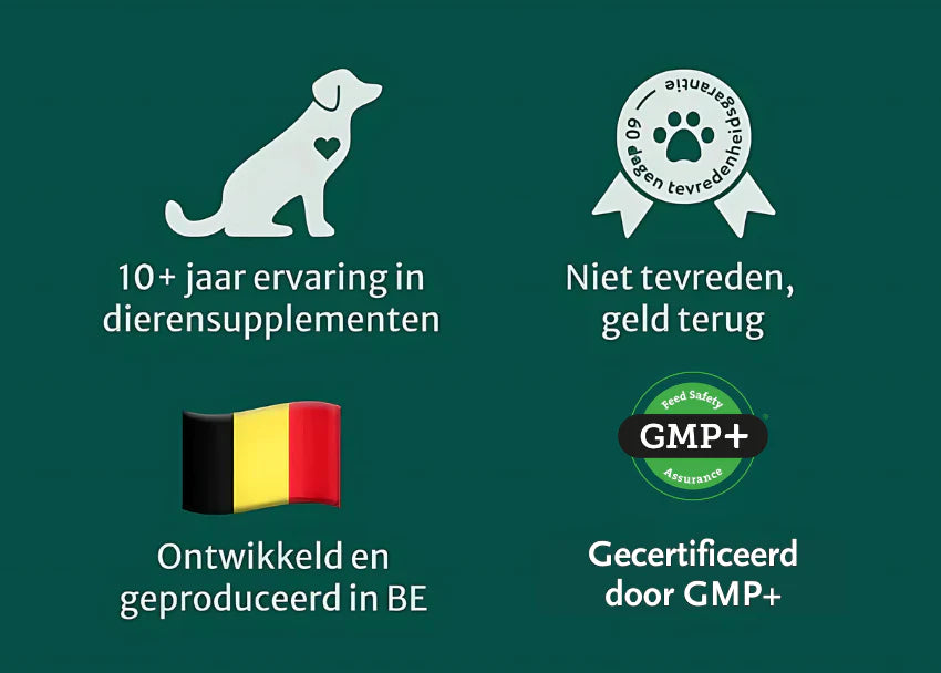 DS Probiotica Forte | Voor een optimale darmgezondheid | 60 snoepjes