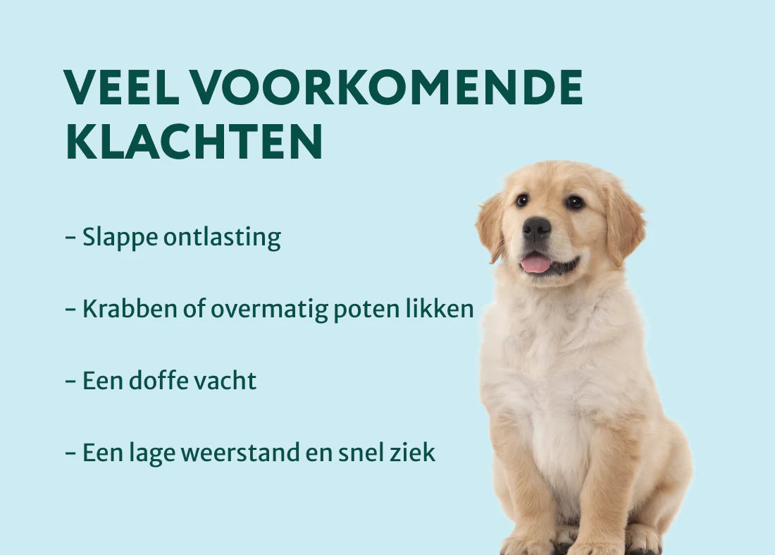 DS Puppy Probiotica | Ondersteun darmflora en spijsvertering | Zonder vlees | 90 snoepjes