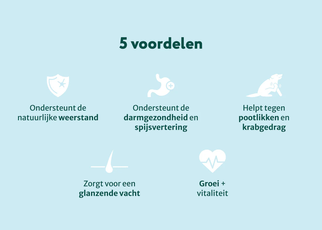 DS Puppy Probiotica | Ondersteun darmflora en spijsvertering | Zonder vlees | 90 snoepjes