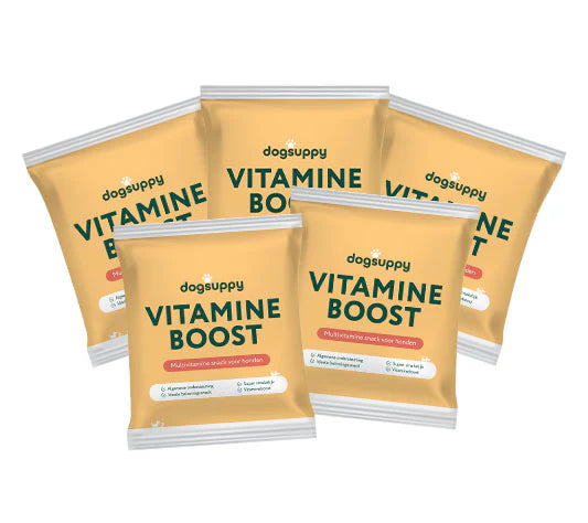 DS Vitamine boost gezonde snacks (60 - 70 stuks) | 5 x 50 gram