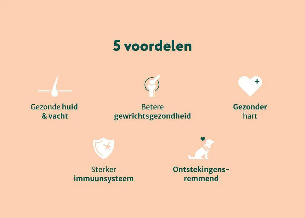 DS Zalmolie | Boost voor de gezondheid van je hond | 250 ml