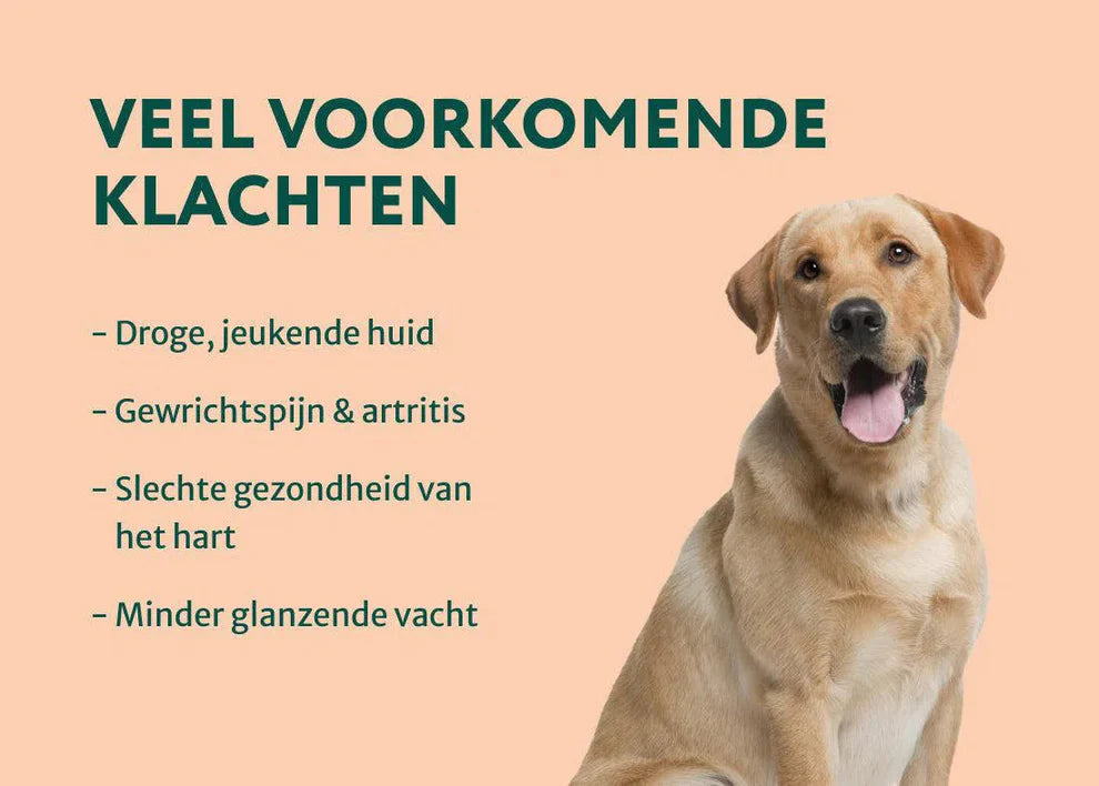 DS Zalmolie | Boost voor de gezondheid van je hond | 250 ml