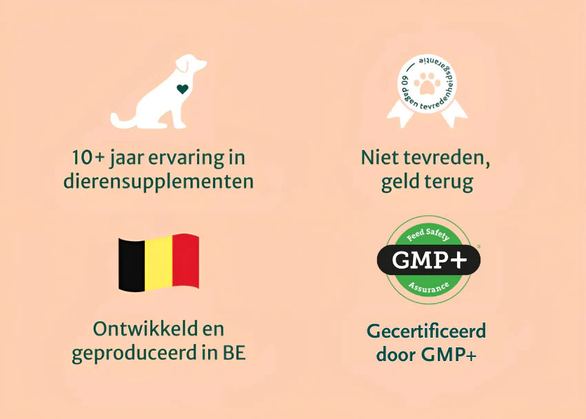 DS Zalmolie | Boost voor de gezondheid van je hond | 250 ml