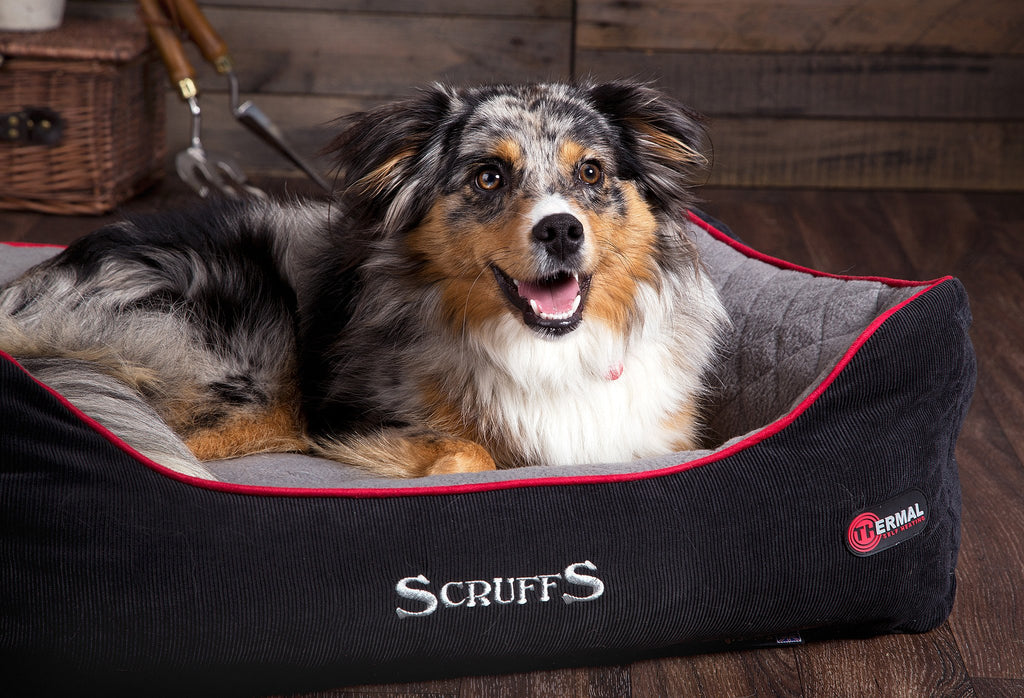 Scruffs Thermal Box Bed
