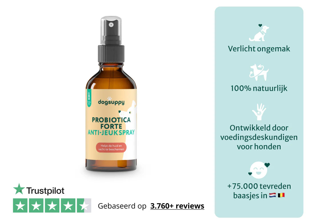 DS Anti-jeuk Spray | Ondersteunt lokale verzorging van gevoelige huid | 250ml