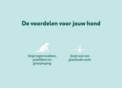 DS Anti-jeuk Spray | Ondersteunt lokale verzorging van gevoelige huid | 250ml