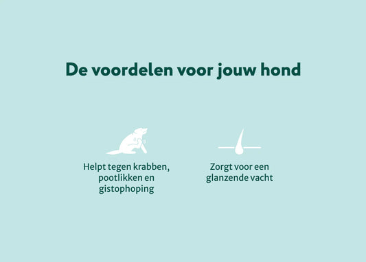 DS Anti-jeuk Spray | Ondersteunt lokale verzorging van gevoelige huid | 250ml