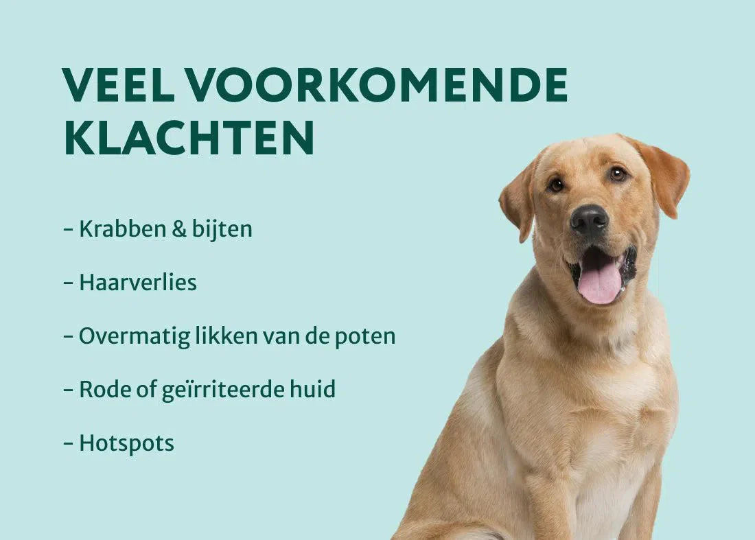 DS Anti-jeuk Spray | Ondersteunt lokale verzorging van gevoelige huid | 250ml