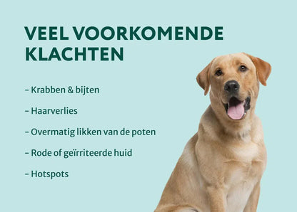 DS Anti-jeuk Spray | Ondersteunt lokale verzorging van gevoelige huid | 250ml