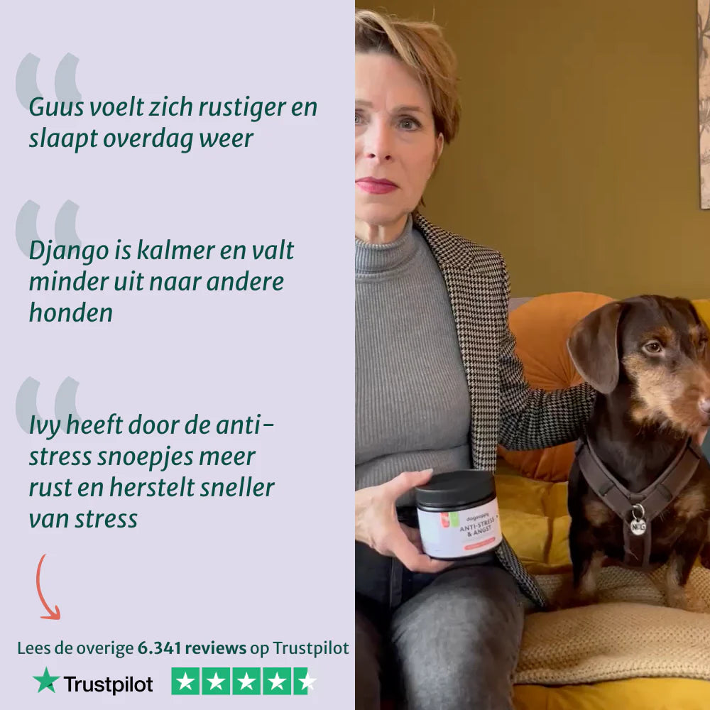 DS Anti-Stress & Angst | Bevordert rust en stressverlagend | 60 snoepjes