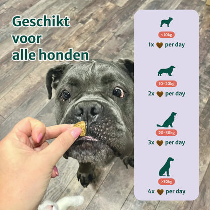DS Anti-Stress & Angst | Bevordert rust en stressverlagend | 60 snoepjes