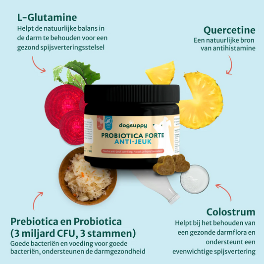 DS Anti-Jeuk Probiotica | 100% natuurlijk | 60 snoepjes