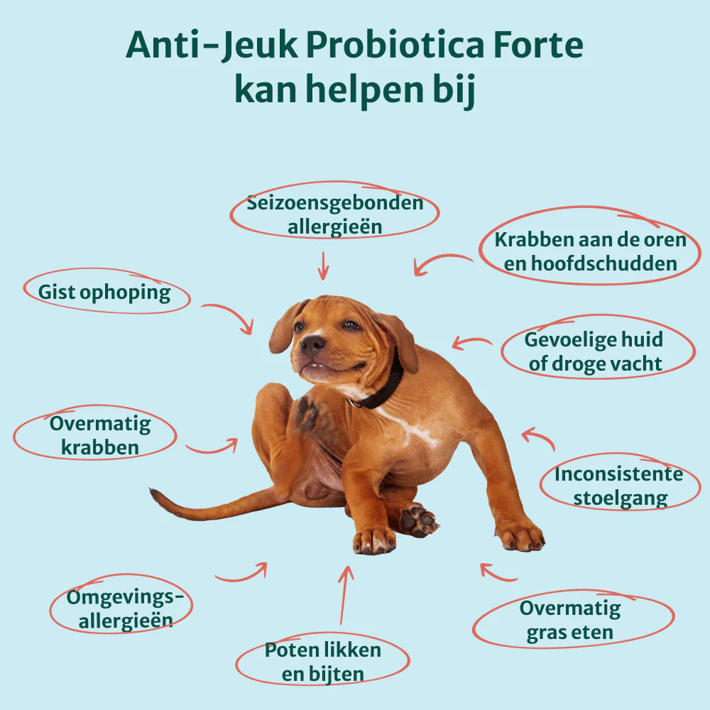 DS Anti-Jeuk Probiotica | 100% natuurlijk | 60 snoepjes