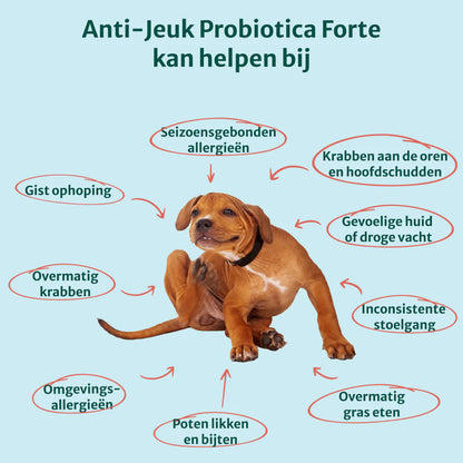DS Anti-Jeuk Probiotica | 100% natuurlijk | 60 snoepjes