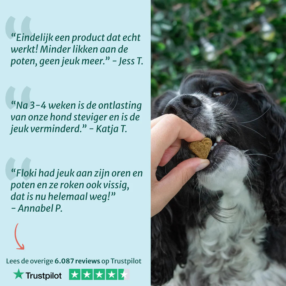 DS Anti-Jeuk Probiotica | 100% natuurlijk | 60 snoepjes