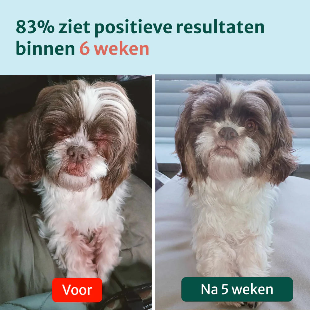 DS Anti-Jeuk Probiotica | 100% natuurlijk | 60 snoepjes