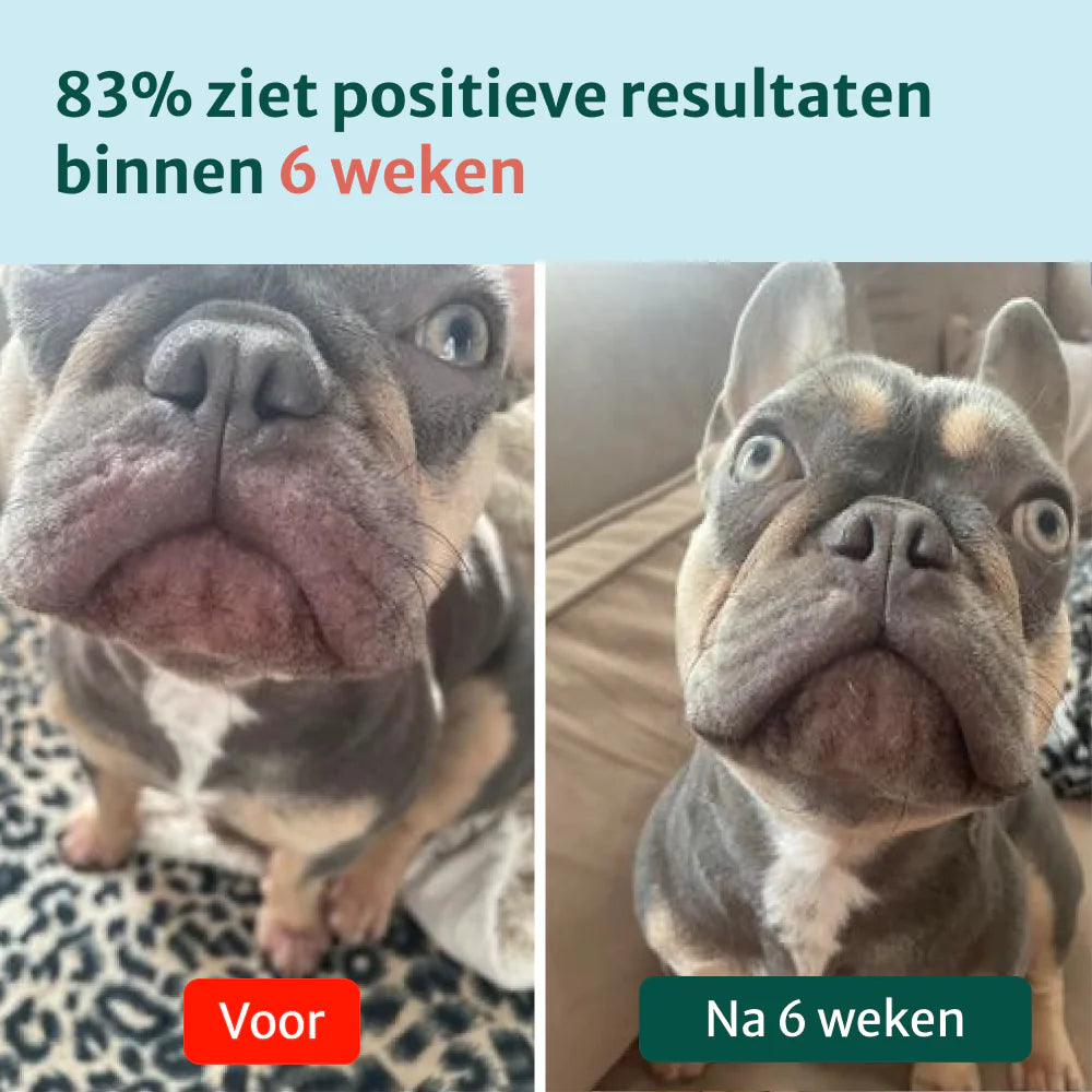 DS Anti-Jeuk Probiotica | 100% natuurlijk | 60 snoepjes