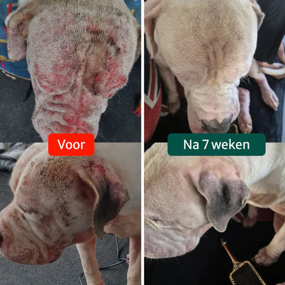 DS Anti-Jeuk Probiotica | 100% natuurlijk | 60 snoepjes