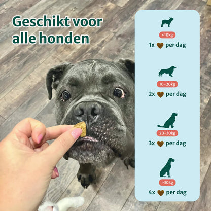 DS Anti-Jeuk Probiotica | 100% natuurlijk | 60 snoepjes