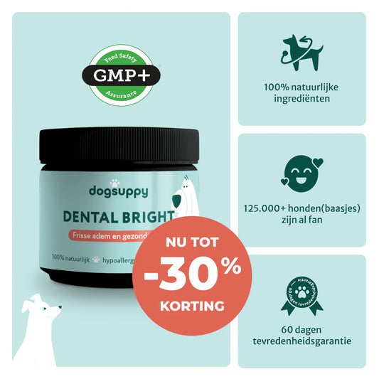 DS Dental Bright | Frisse adem & gezond gebit | 100% natuurlijk | 60 schepjes