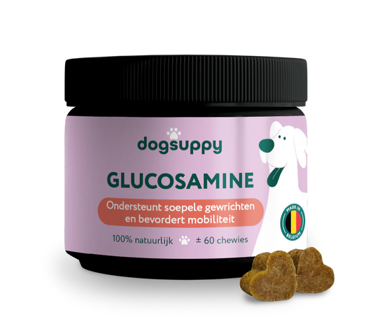 DS Glucosamine | Ondersteunt mobiliteit | 60 snoepjes