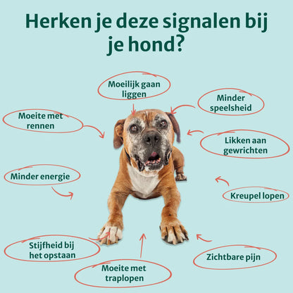 DS Heup & Gewrichten supplement | 100% natuurlijk | 60 snoepjes