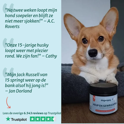 DS Heup & Gewrichten supplement | 100% natuurlijk | 60 snoepjes