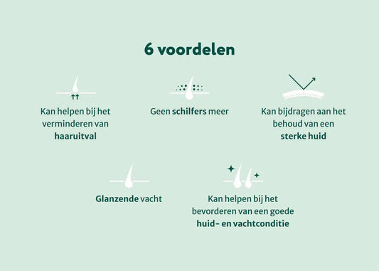 DS Huid & Vacht met Omega 3-6-9 | 100% Natuurlijk | 60 Snoepjes
