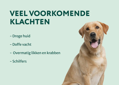 DS Huid & Vacht met Omega 3-6-9 | 100% Natuurlijk | 60 Snoepjes
