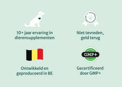 DS Huid & Vacht met Omega 3-6-9 | 100% Natuurlijk | 60 Snoepjes