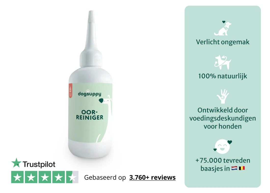 DS Oorreiniger | Diepe reiniging en bescherming tegen ongemakken | 100 ml