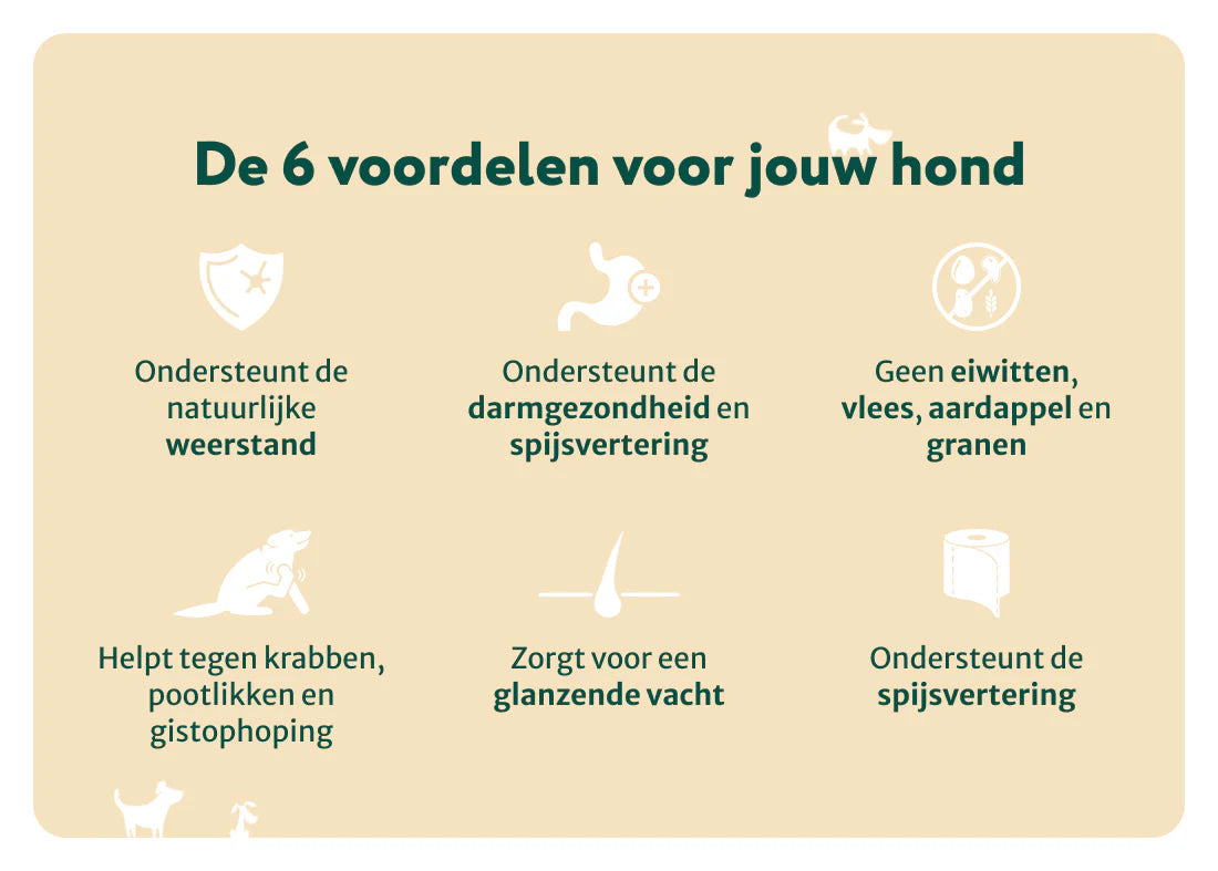 DS Probiotica Forte poeder | Bevat GEEN zetmeel en eiwitten | Hypoallergeen | 60 schepjes