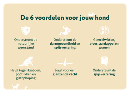 DS Probiotica Forte poeder | Bevat GEEN zetmeel en eiwitten | Hypoallergeen | 60 schepjes