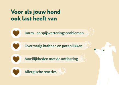 DS Probiotica Forte poeder | Bevat GEEN zetmeel en eiwitten | Hypoallergeen | 60 schepjes