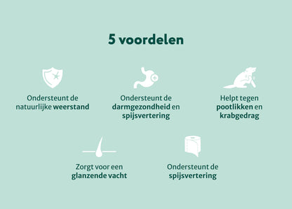 DS Probiotica Forte | Voor een optimale darmgezondheid | 60 snoepjes