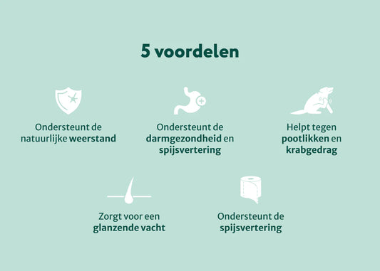 DS Probiotica Forte | Voor een optimale darmgezondheid | 60 snoepjes