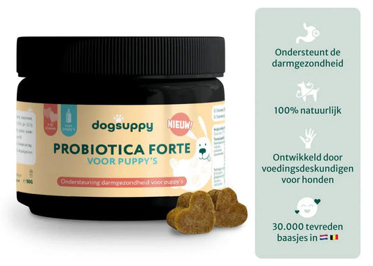 DS Puppy Probiotica | Ondersteun darmflora en spijsvertering | Zonder vlees | 90 snoepjes